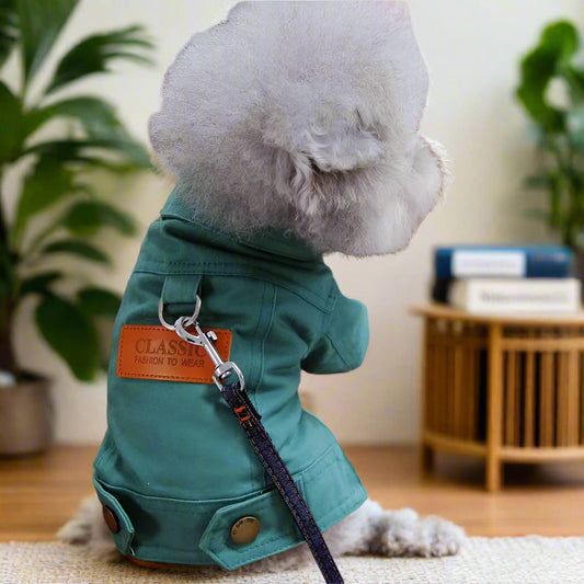 green Spring Dog Suit Outfits with Dlink. - Sniff Waggle And Walk