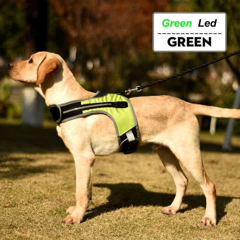 green The ultimate LED Dog Harness - Sniff Waggle And Walk