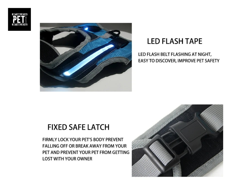 best qulity harness for dogs