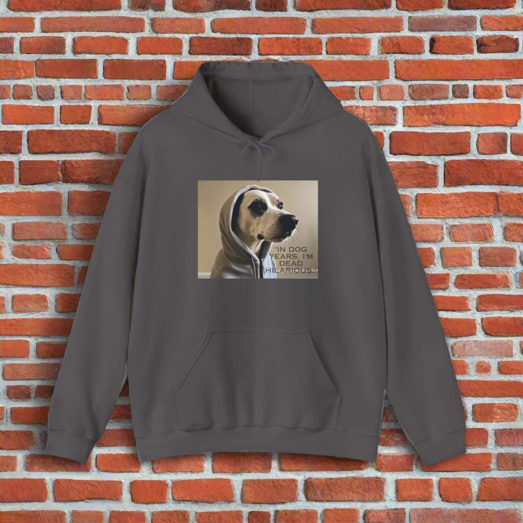 eco friendly gray dog walking hoodie