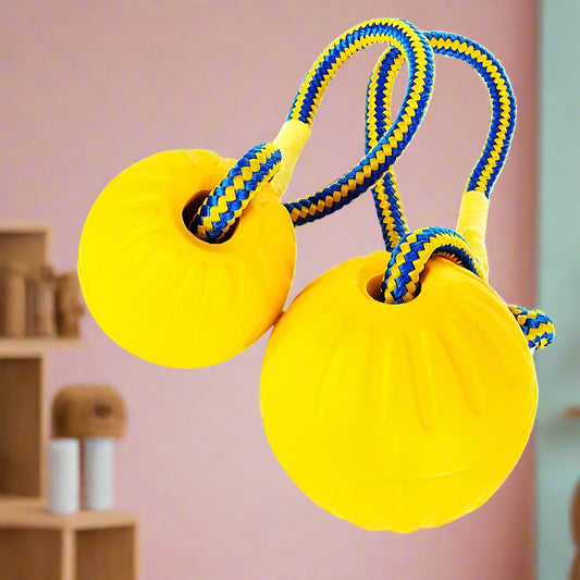 Sniffwagglendwalk Indestructible ball on a rope. - Sniff Waggle And Walk