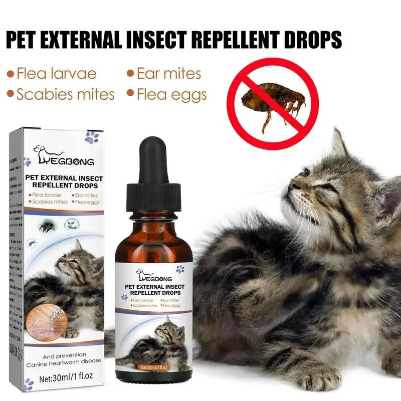 the best flea treatments on the net Pets Dog Cat Anti-Flea. - Sniff Waggle And Walk