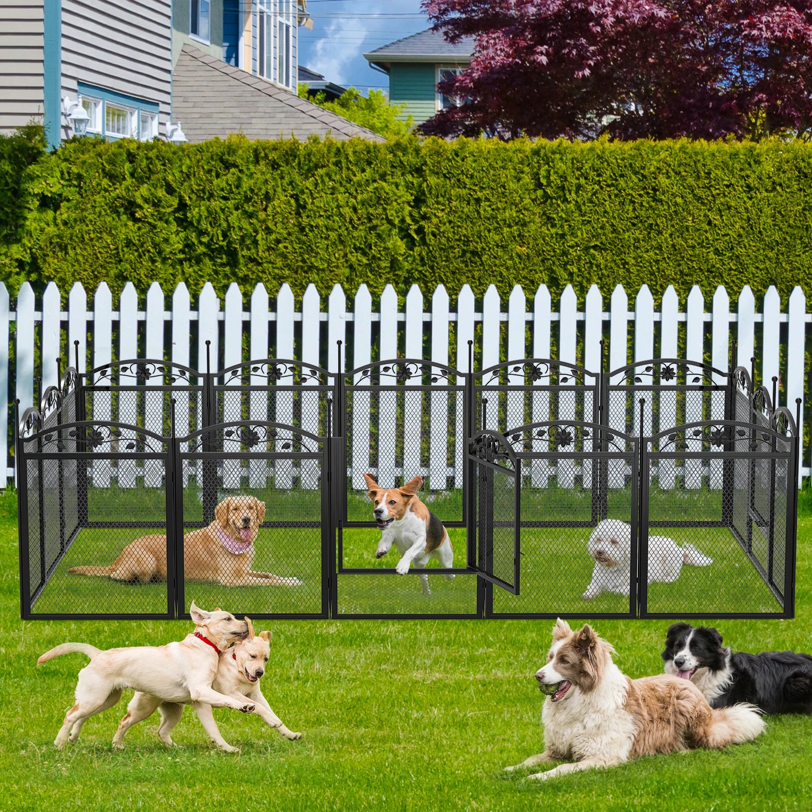 Easy setup dog playpen for training, playing, or whelping