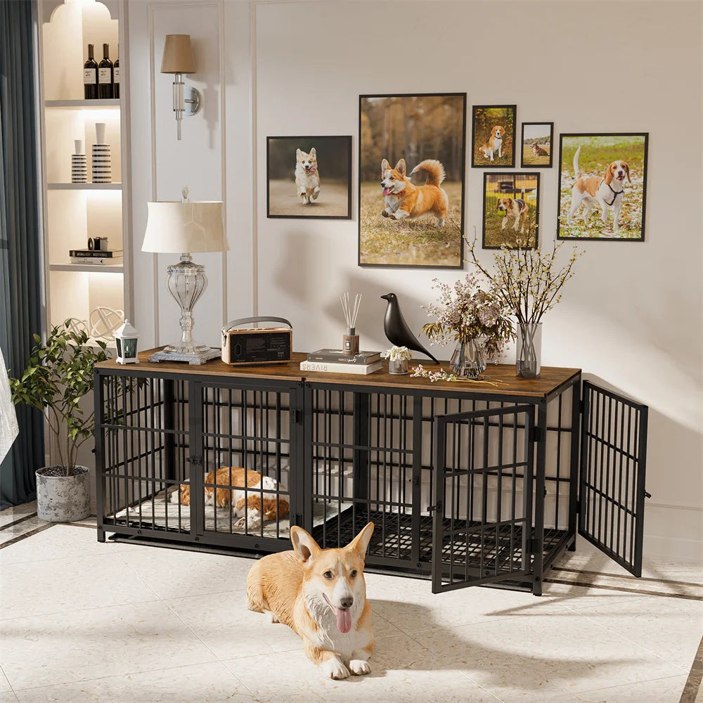 Dog inside a large metal dog crate in a room with decorative elements and framed photos of dogs.
