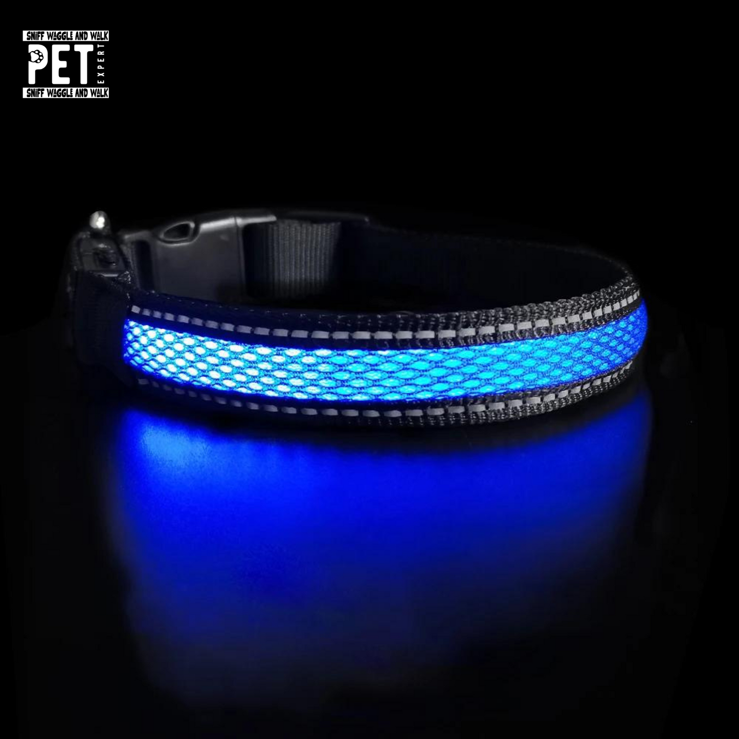 blue led dog colar