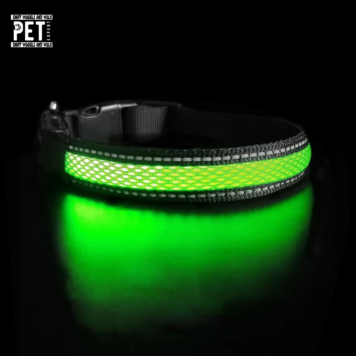 led dog collar green