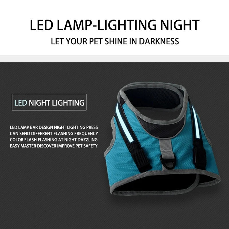 lighting led harness for dogs