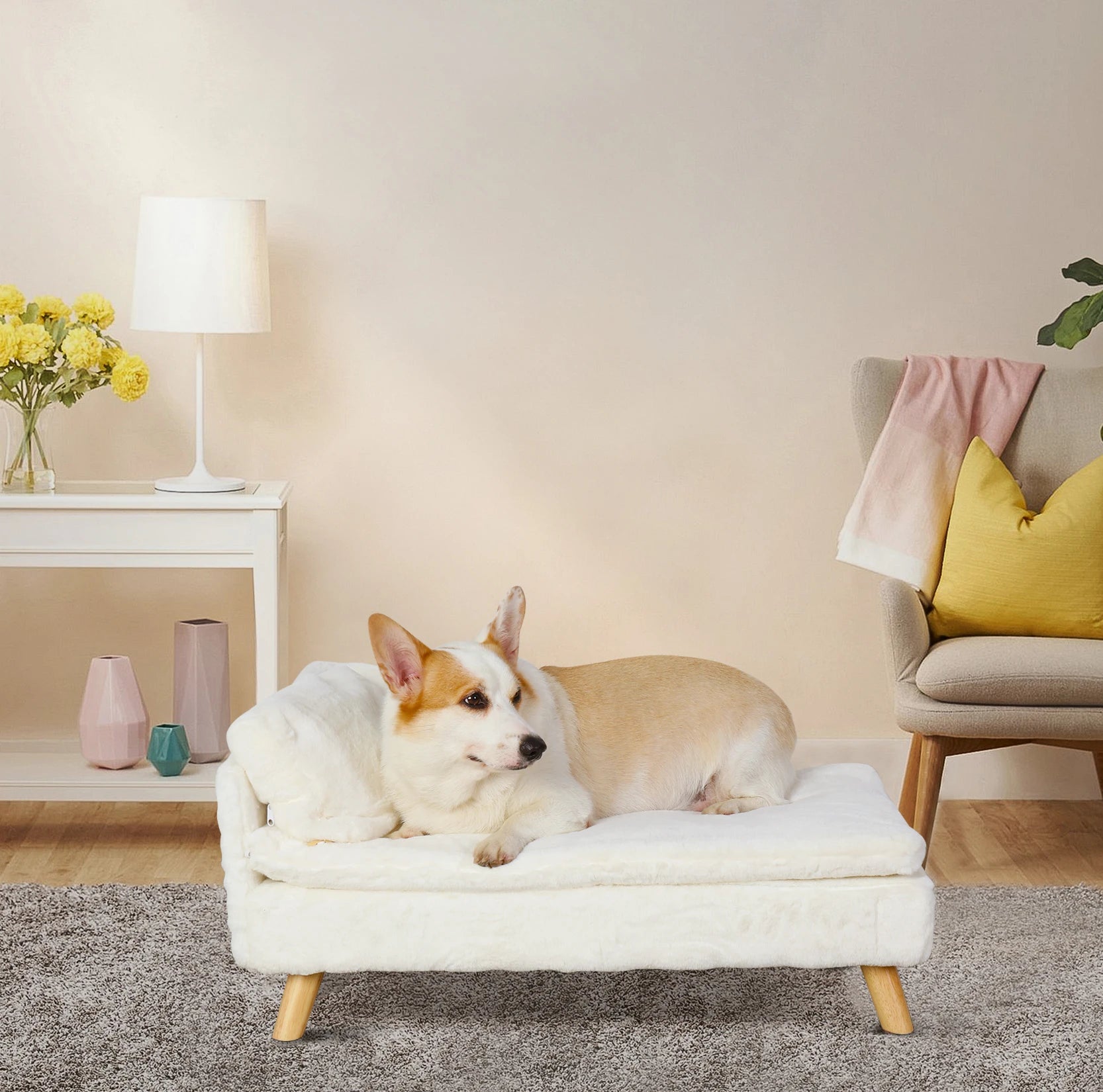 best luxury dog beds