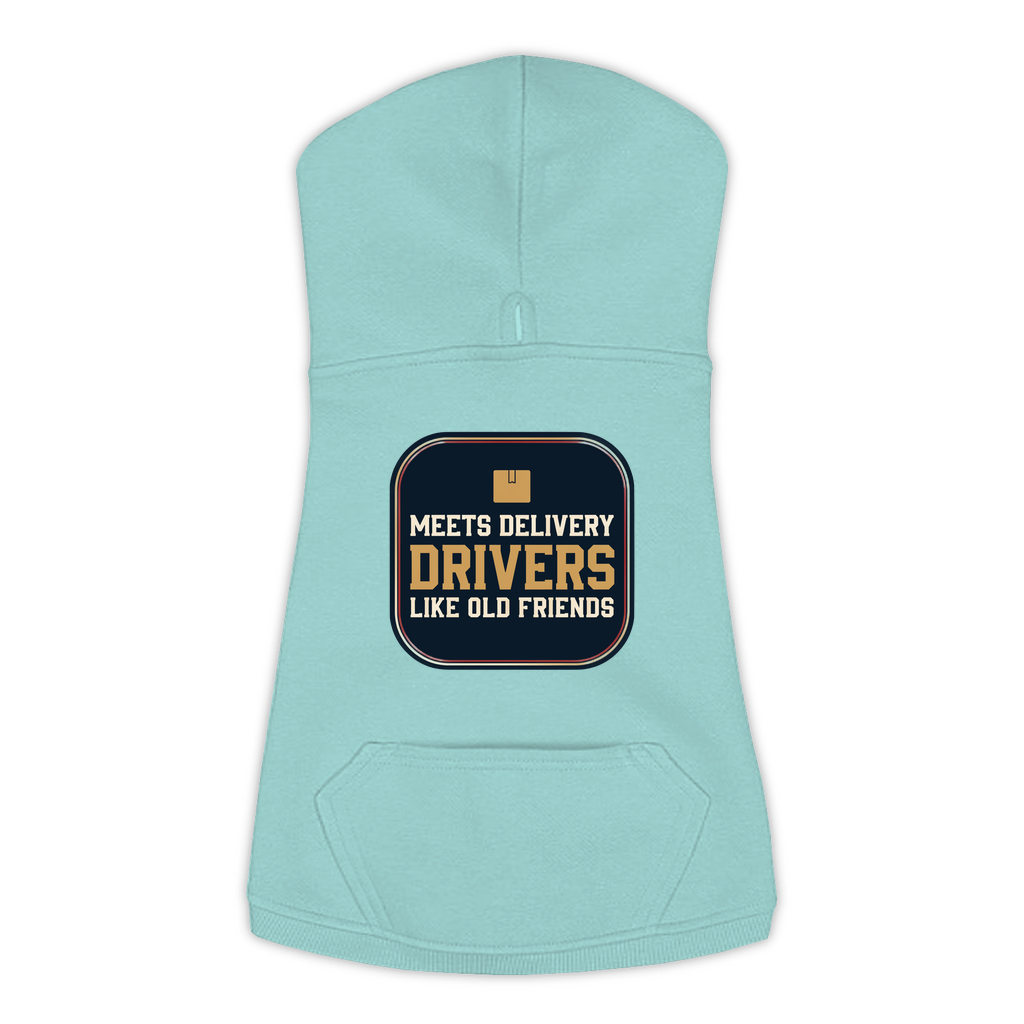Meets Delivery Drivers funny dog hoodie in saltwater blue, sizes L to 3XL