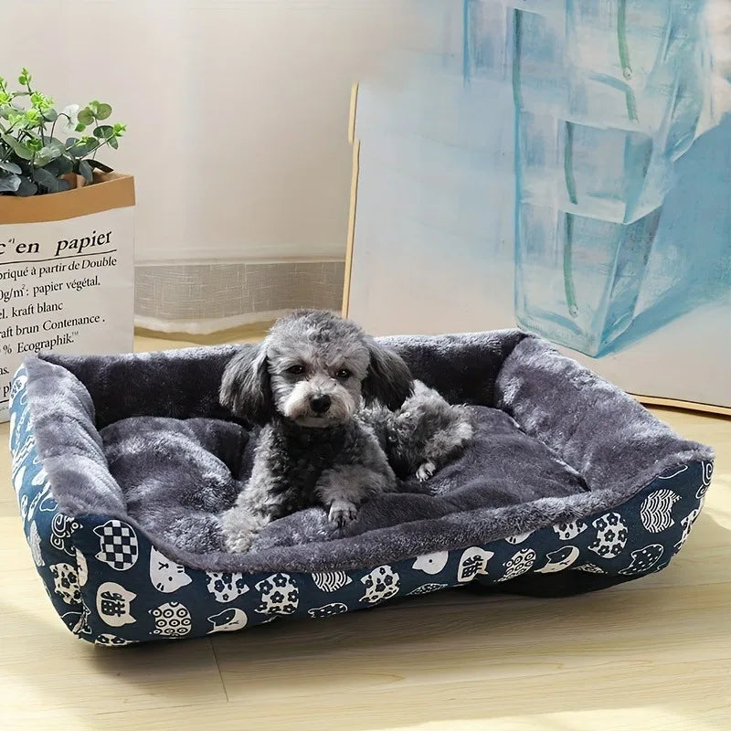 large-dog-sofa-bed-living-room