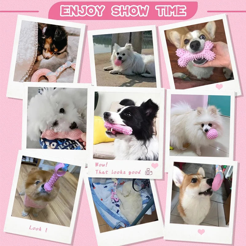 puppy clenaing dog Dog Chew Toy: Pink Rubber Durable Molars Training Toys. - Sniff Waggle And Walk