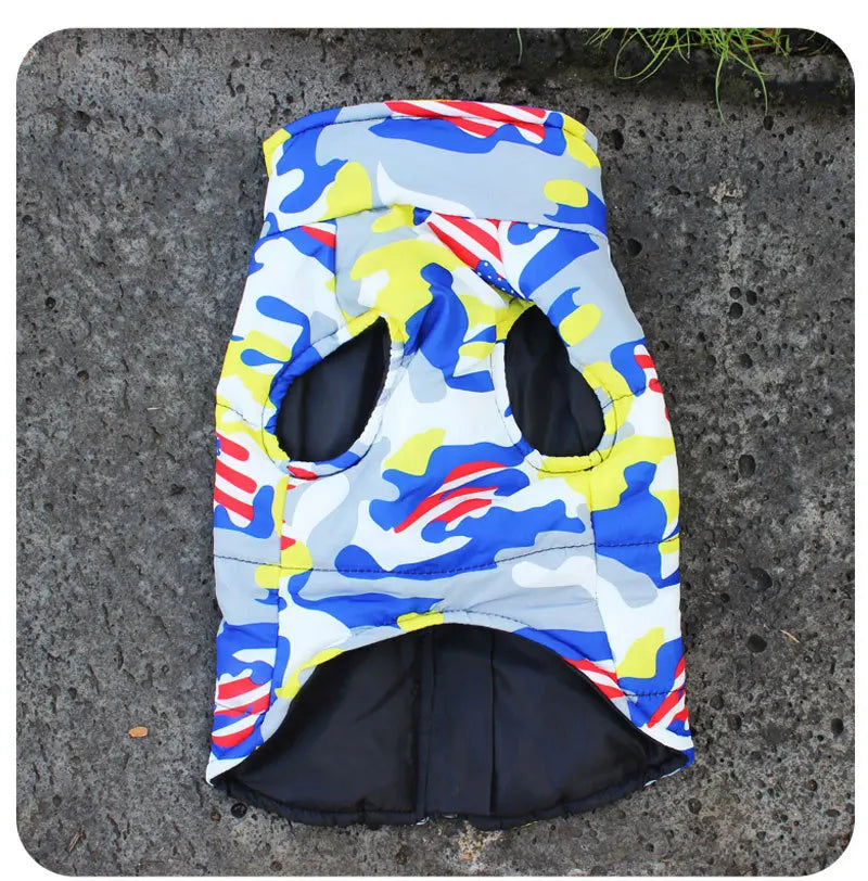 multi coloured dog jacket