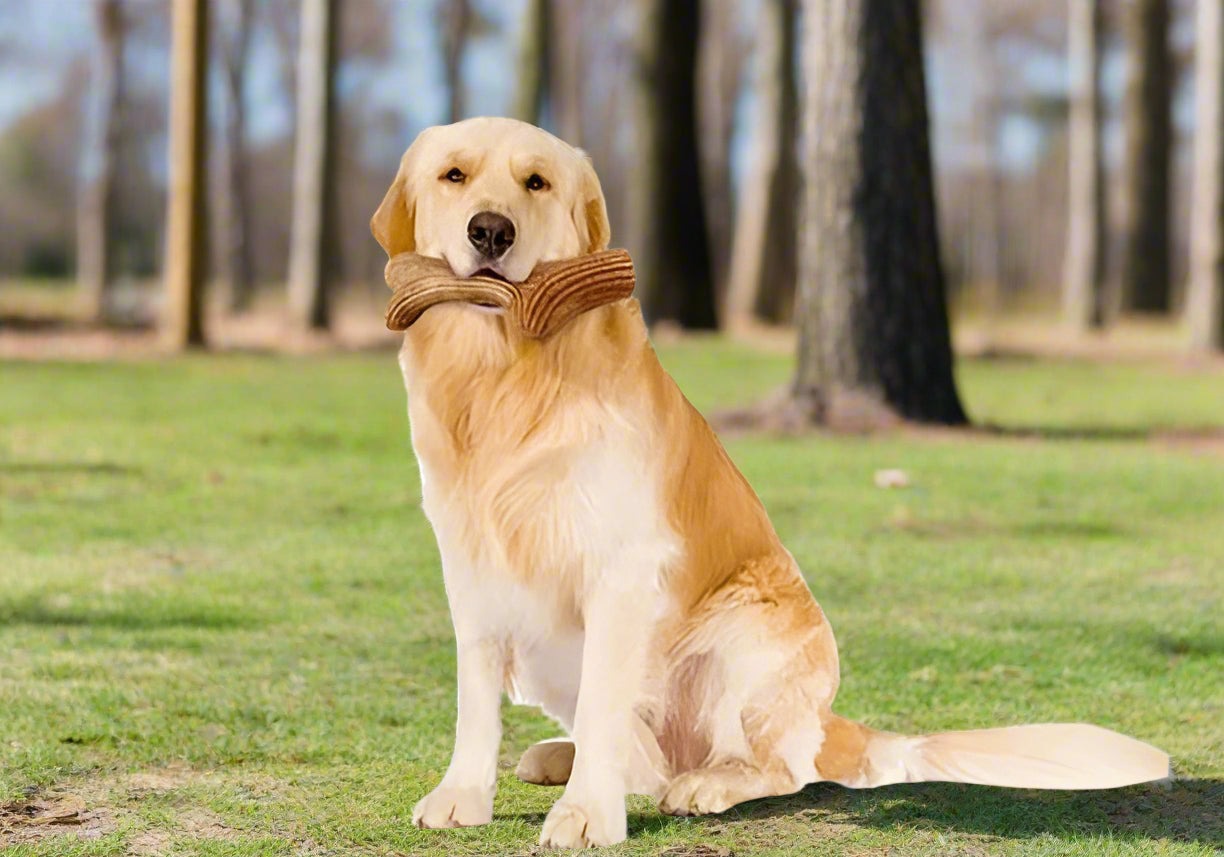 tough Wooden Deer Antlers dog chew toys natural. - Sniff Waggle And Walk