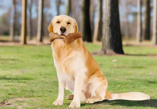 tough Wooden Deer Antlers dog chew toys natural. - Sniff Waggle And Walk