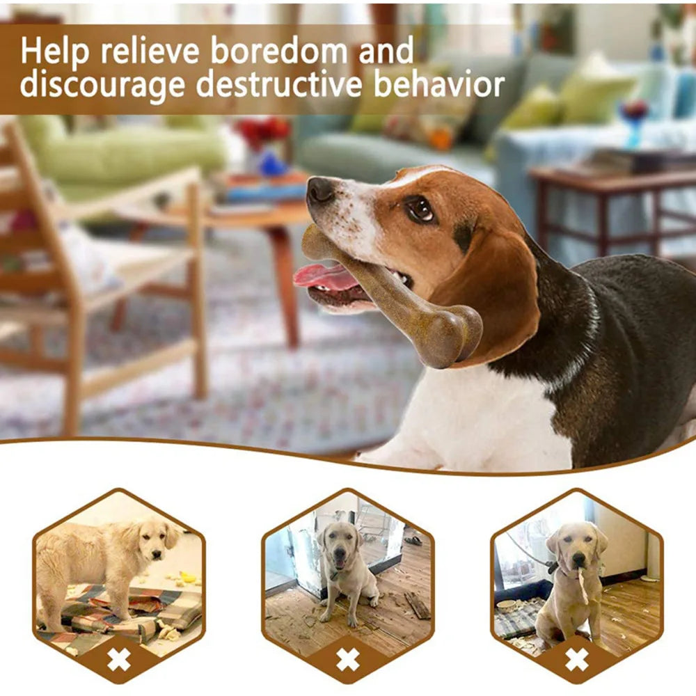 help dog boredom Nearly Indestructible Natural Non-Toxic Anti-bite bone. - Sniff Waggle And Walk
