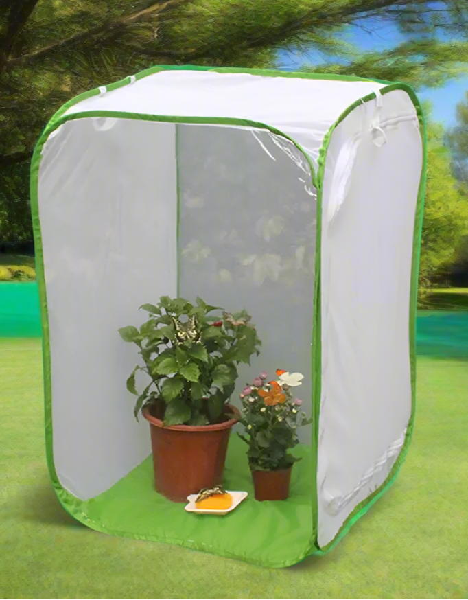 dog Butterfly Net shielding your beloved plants from curious pets. - Sniff Waggle And Walk