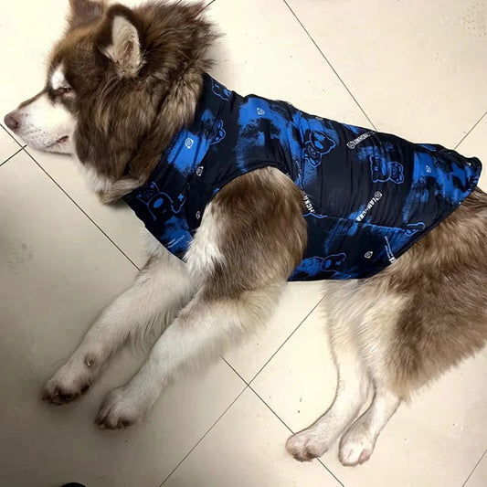 new blue dog coat jacket