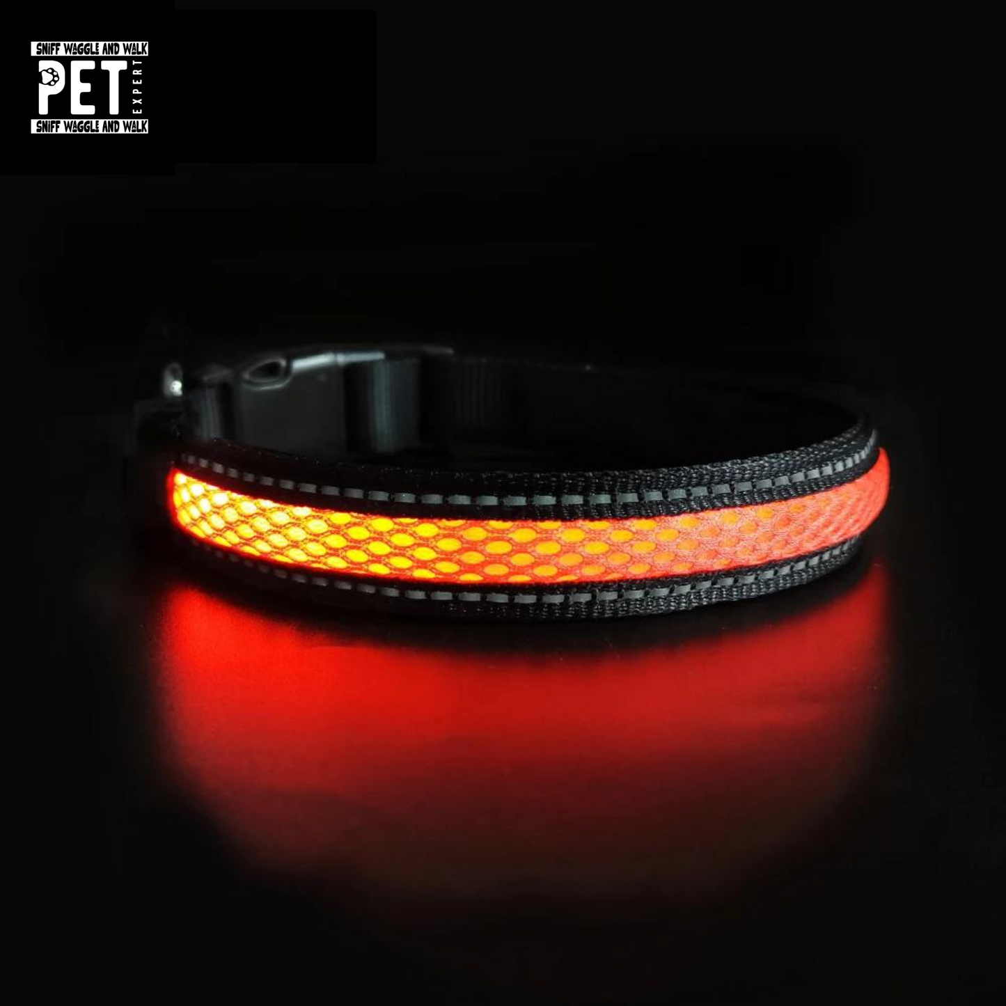 rechargeble led dog collar orange