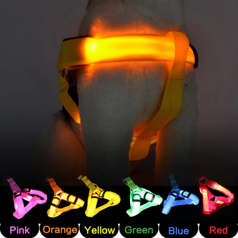 orange led Illuminate Harness by sniffwagglenwalk - Sniff Waggle And Walk