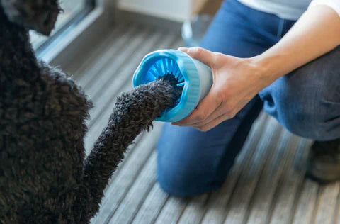 pet paw cleaner dog