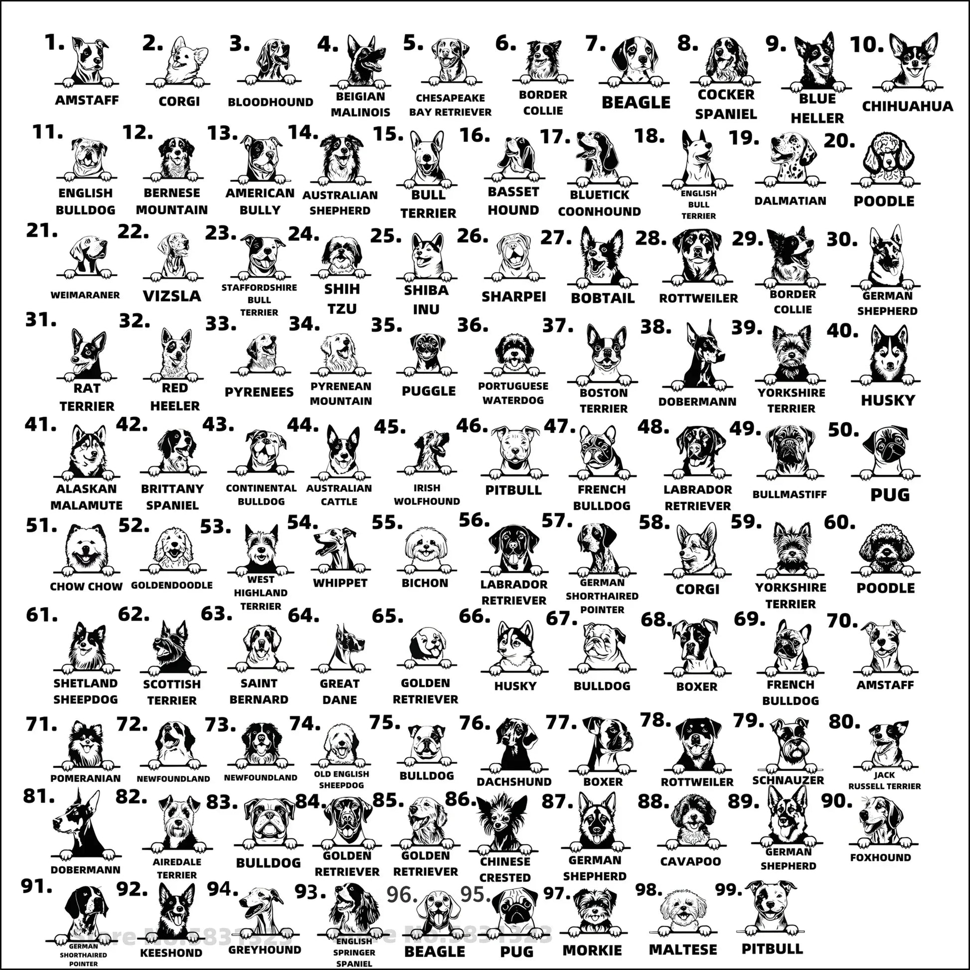 Customized pet Collar Tag Color Bone Pendant. - Sniff Waggle And Walk