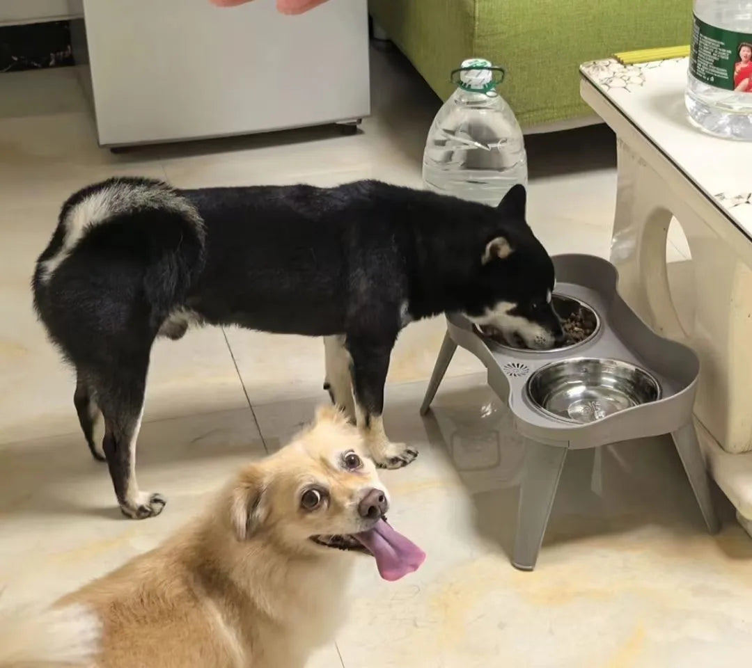 pet bowl hholder dogs and cats