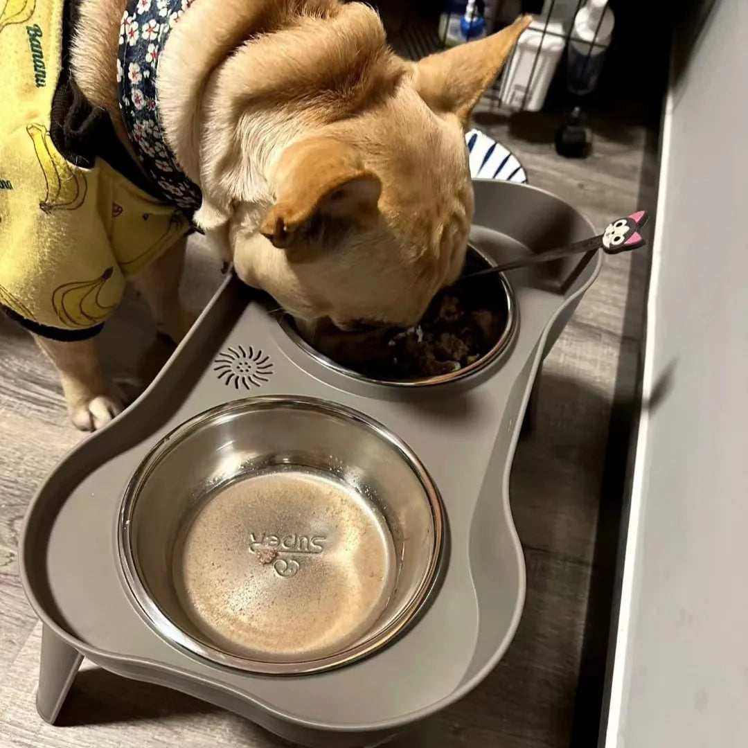 cat and dog bowl elevated holder quality gray