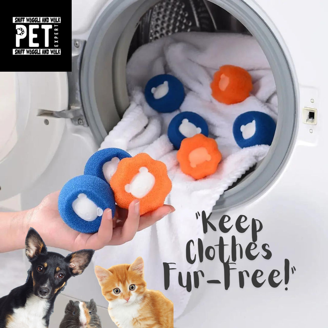 pet hair remover tools