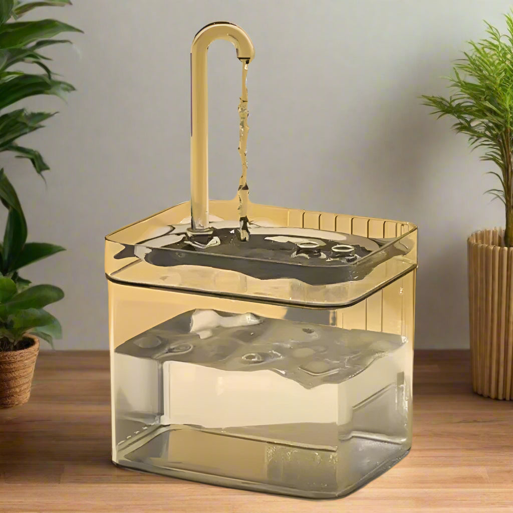 the best pet Water Fountain. - Sniff Waggle And Walk