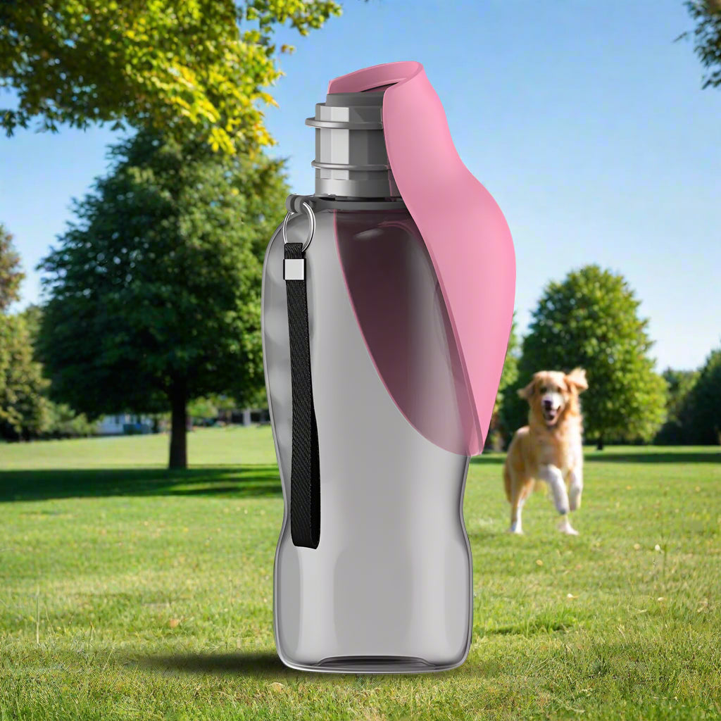 pink dog Water Bottle 800ml. - Sniff Waggle And Walk