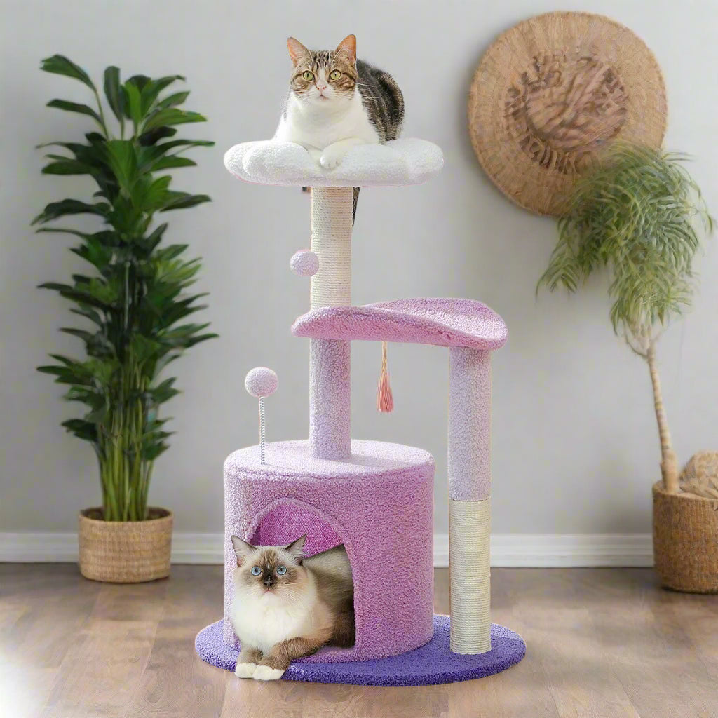 Cat tree with two cats on a white background
