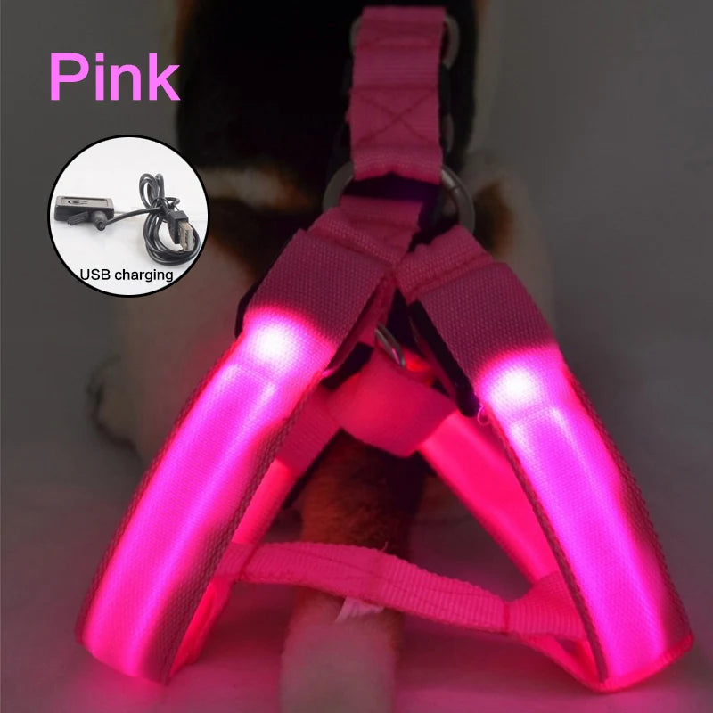 pink led Illuminate Harness by sniffwagglenwalk - Sniff Waggle And Walk