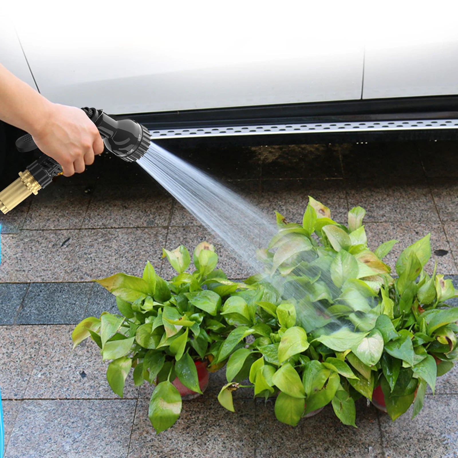 plants and dog wash hose