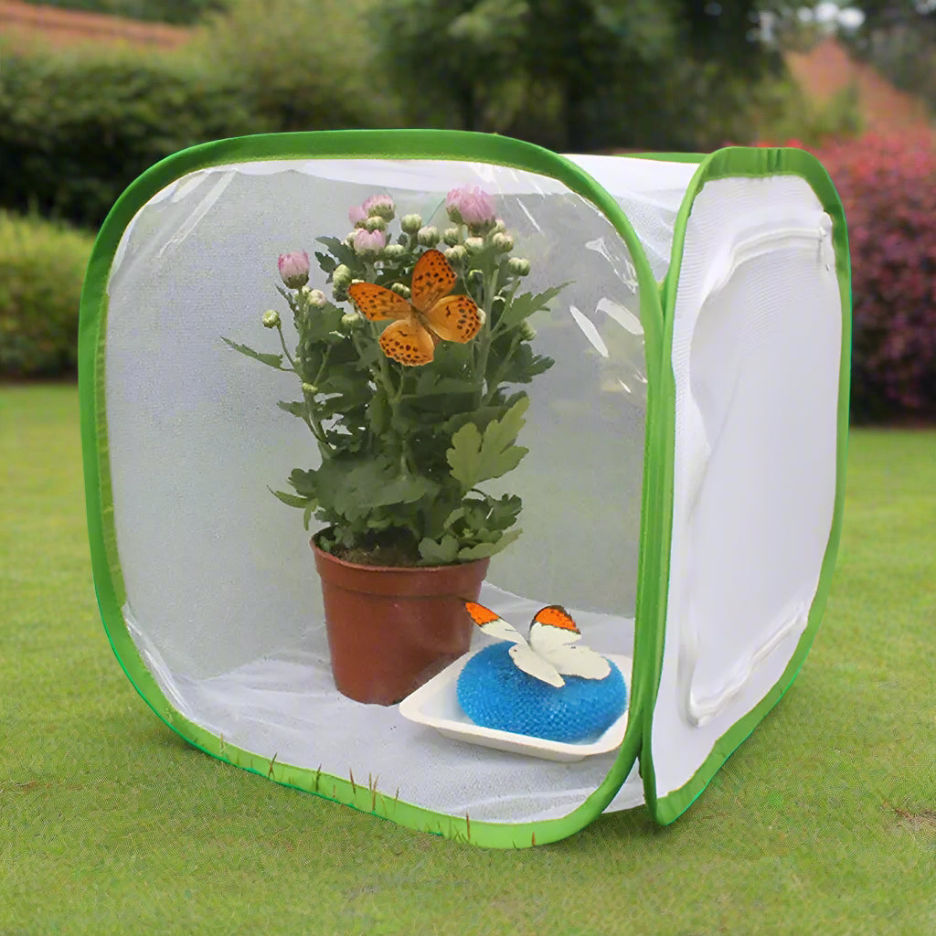 Butterfly Net shielding your beloved plants from curious pets. - Sniff Waggle And Walk