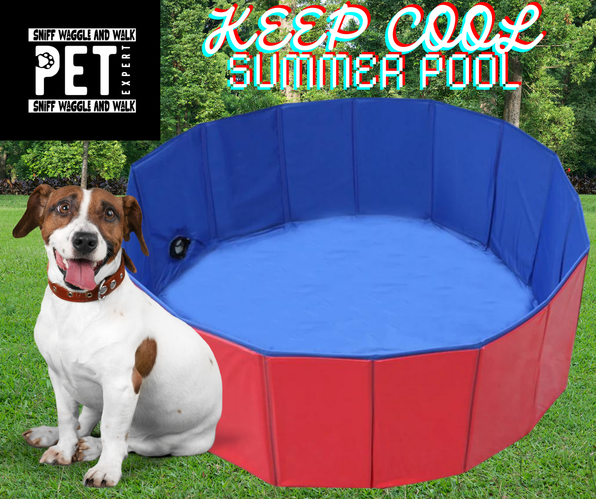 dog bath paddling pool red