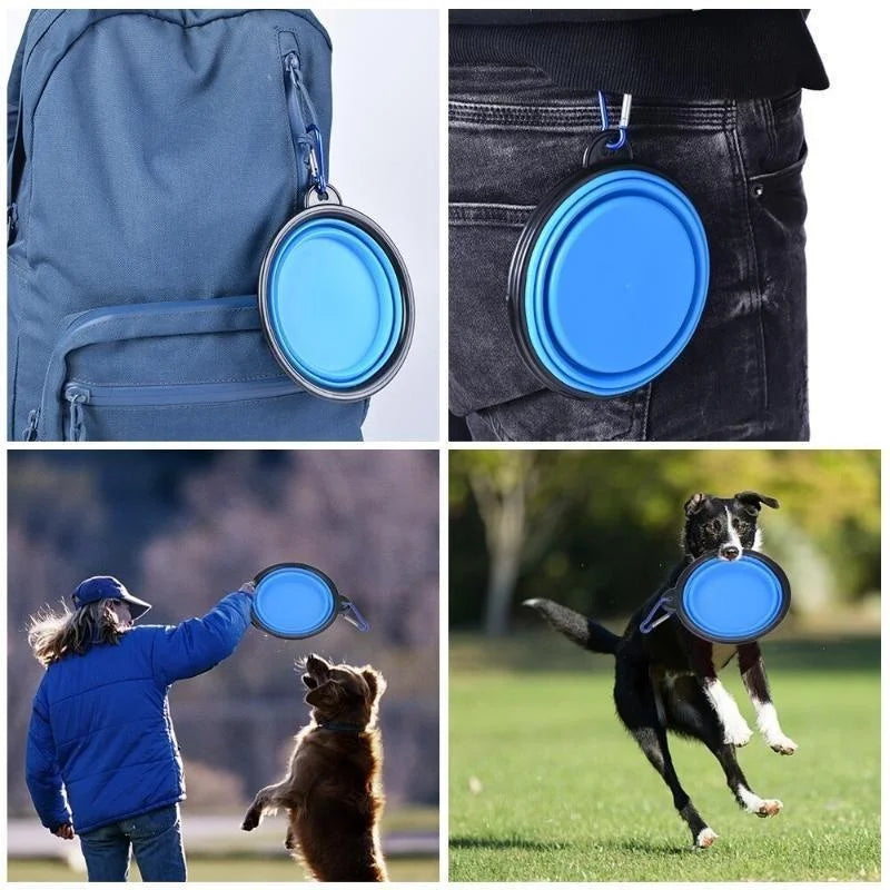 best Portable Silicone folding Dog Bowl With Carabiner. - Sniff Waggle And Walk