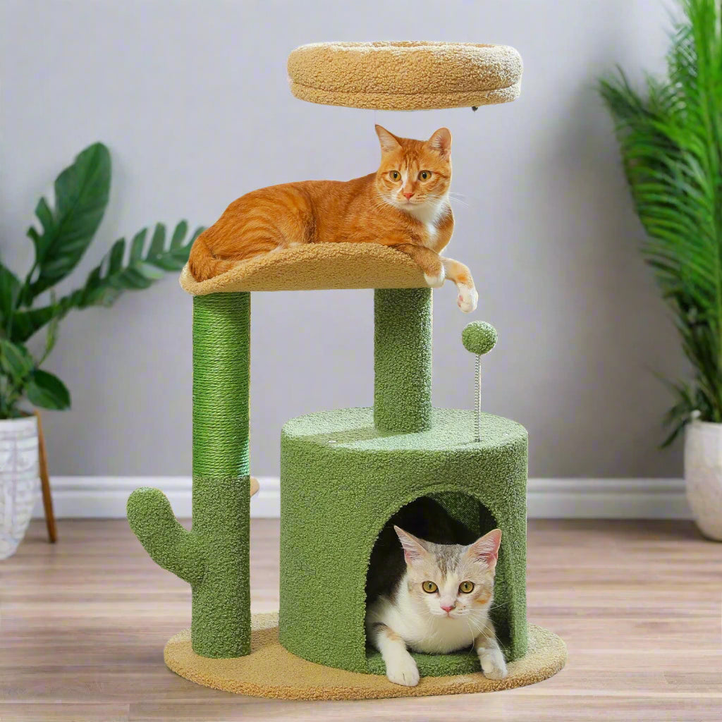 Two cats on a green and beige cat tree with 'PAW ROAD' branding.