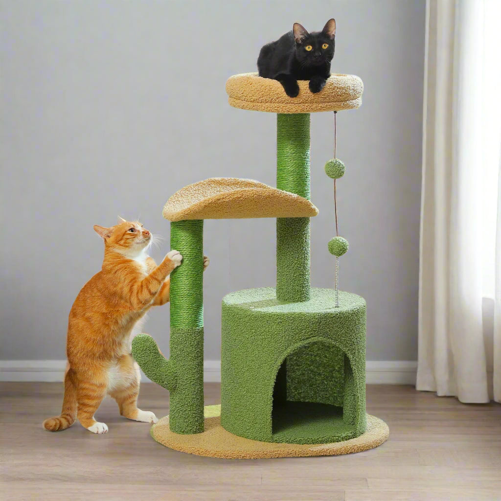 Two cats interacting with a green and brown cat tree in a room with a window and plants.