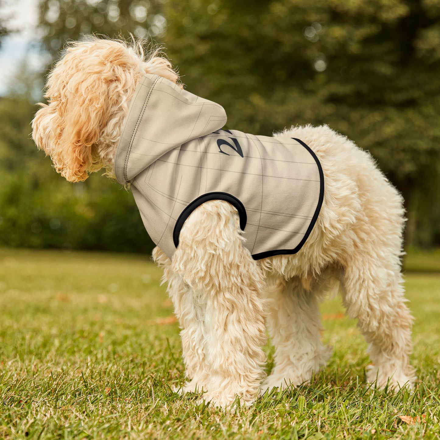 Dog wearing a gray hoodie with black trim standing on grass