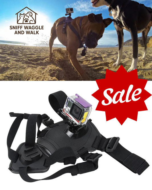PupCam POV Adventure Harness – Adjustable Chest & Back GoPro Mount for Dogs