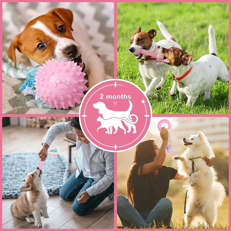 puppy Dog Chew Toy: Pink Rubber Durable Molars Training Toys. - Sniff Waggle And Walk