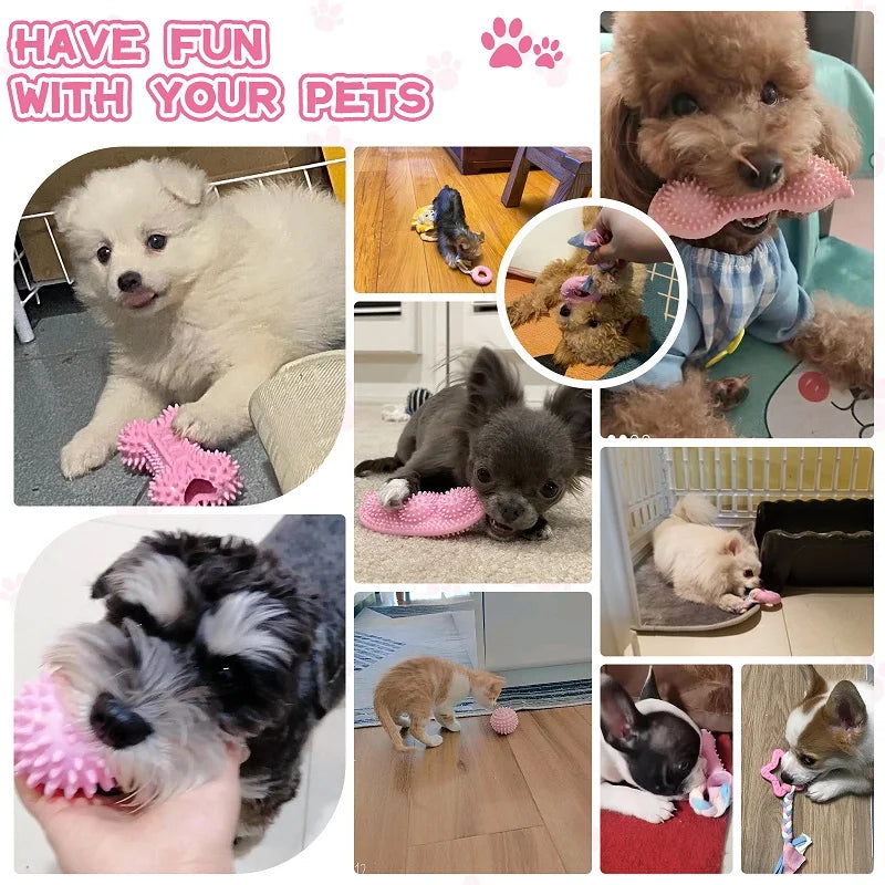 puppy toys moler cleaners Dog Chew Toy: Pink Rubber Durable Molars Training Toys. - Sniff Waggle And Walk