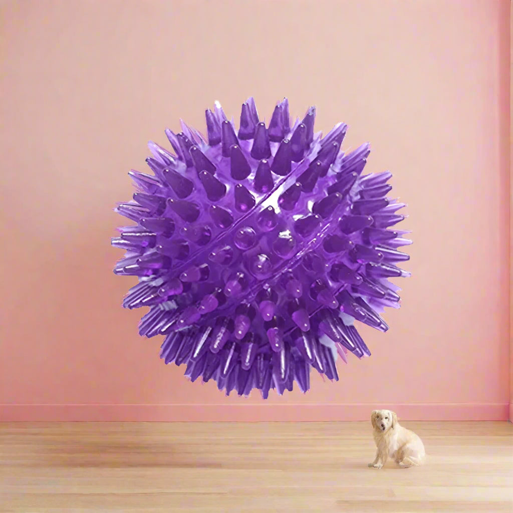 dog toy bite resitant Squeaky Tooth Cleaning Ball. - Sniff Waggle And Walk