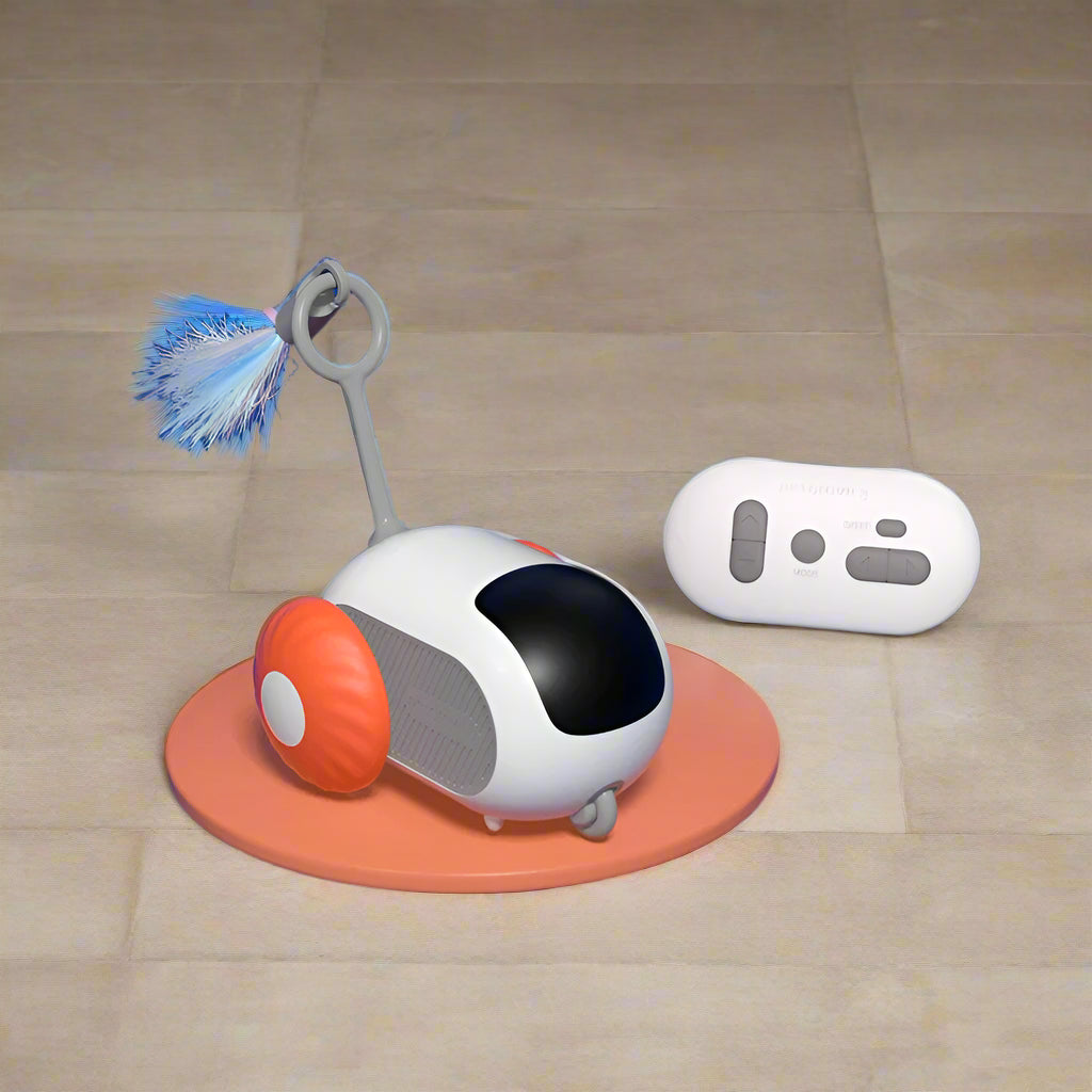 best cat toys with quality