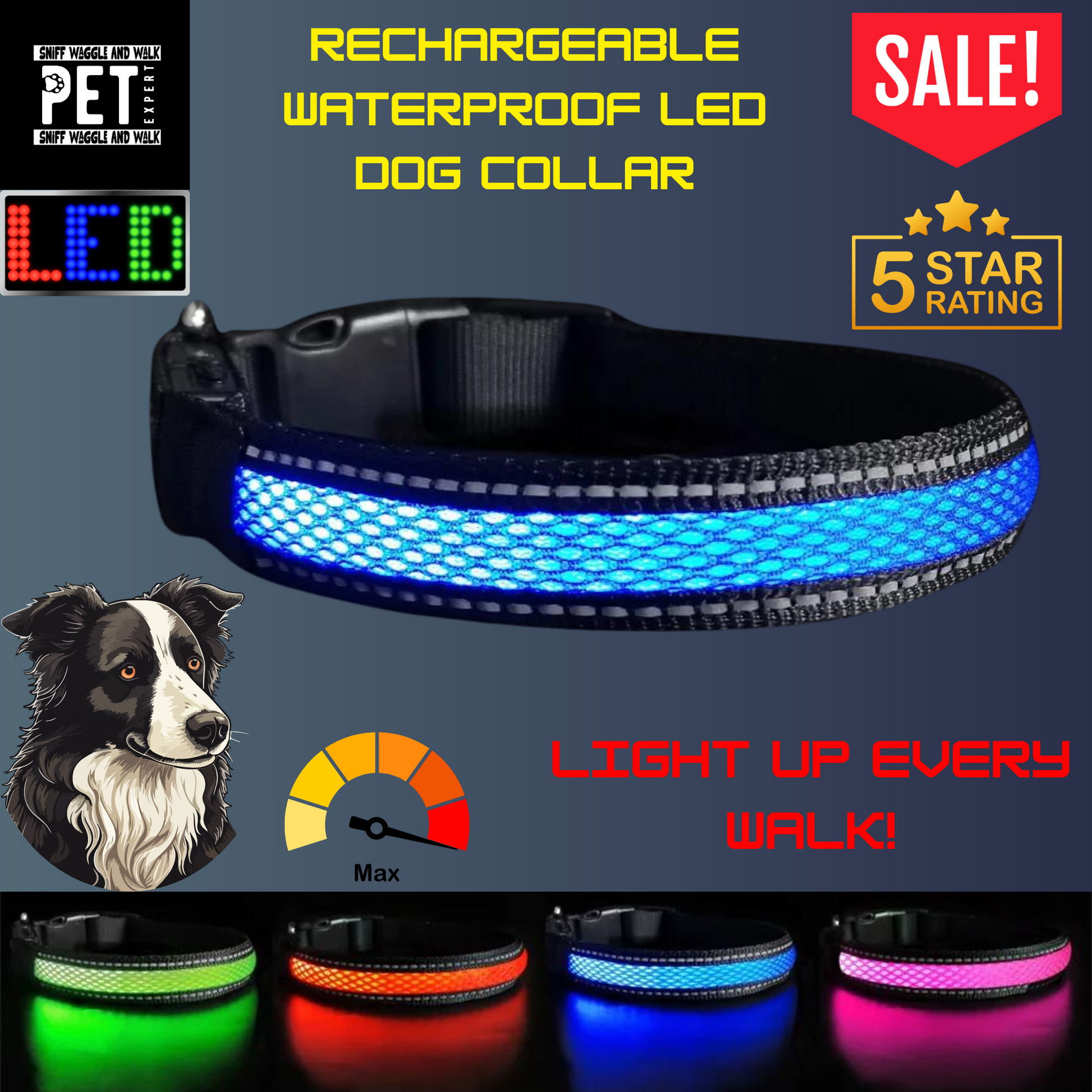 rechargeble led dog coollar best quality
