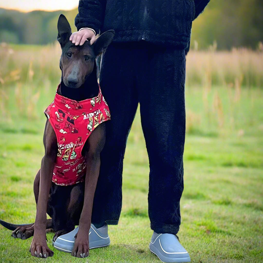 red dog jacket coat best