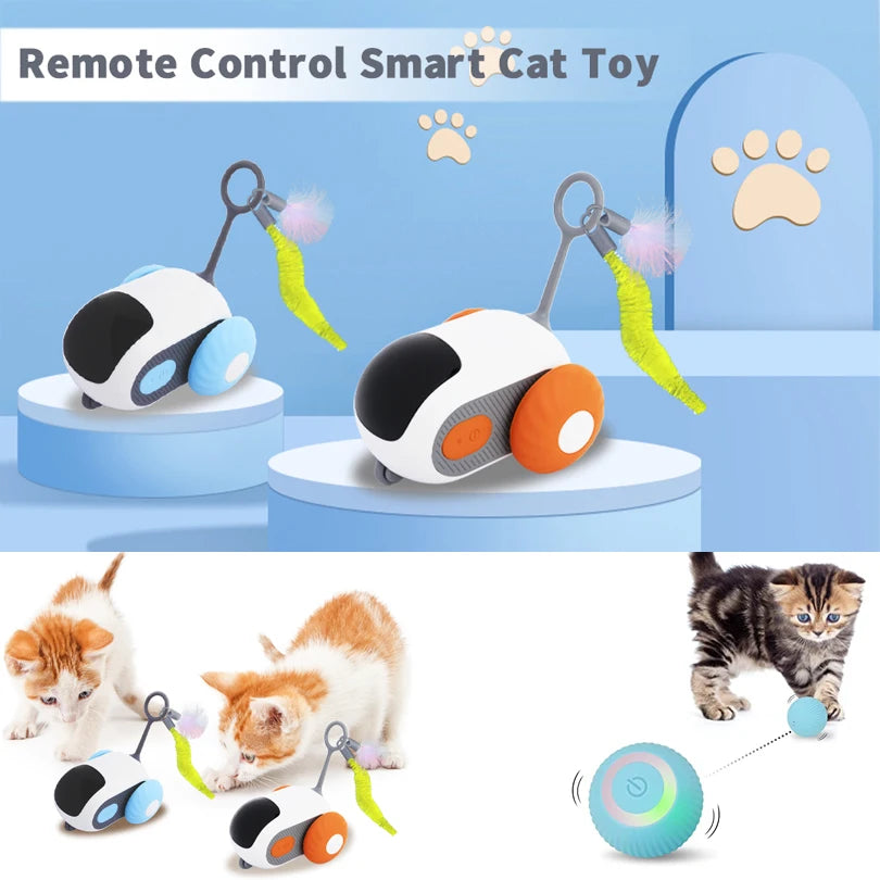 remote control cat toy