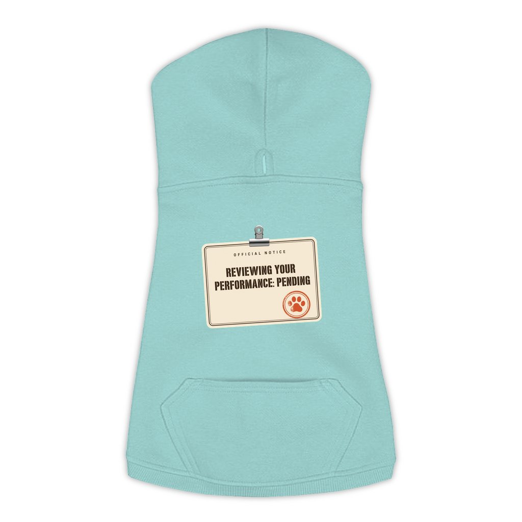 Reviewing Your Performance, Pending dog hoodie in Saltwater, sizes L to 3XL