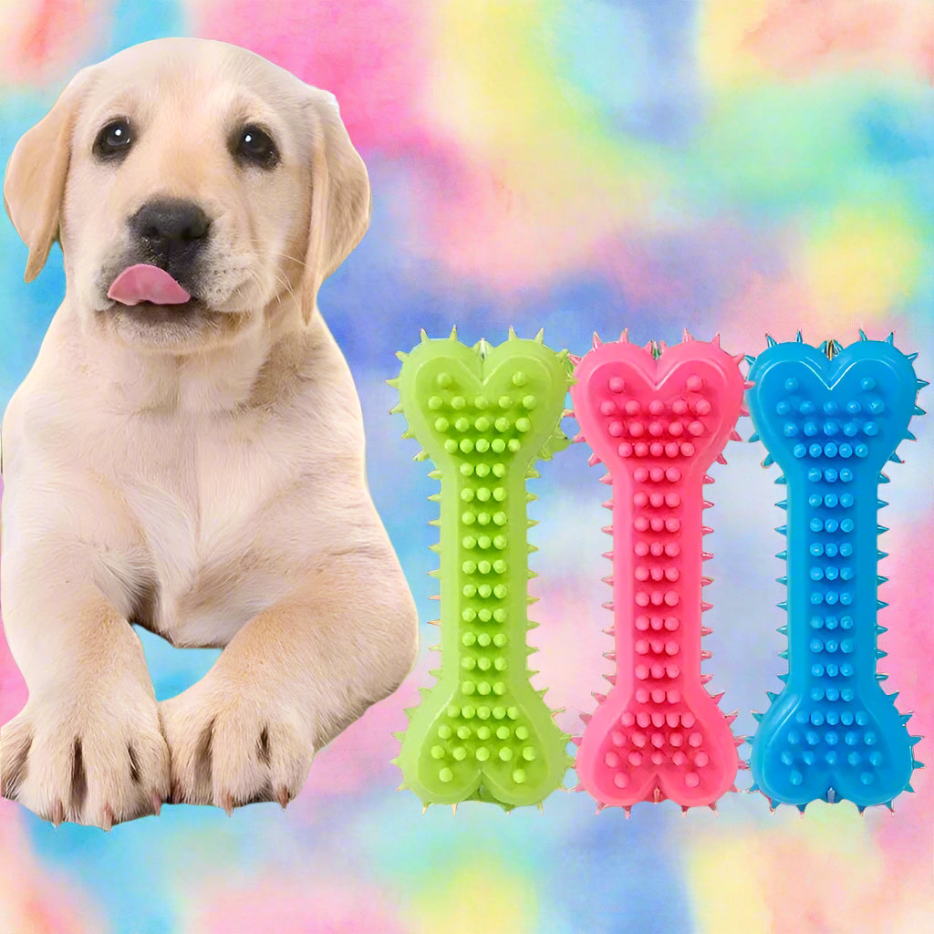 dog toy tough Rubber Bite-resistance Bone Chew toy. - Sniff Waggle And Walk