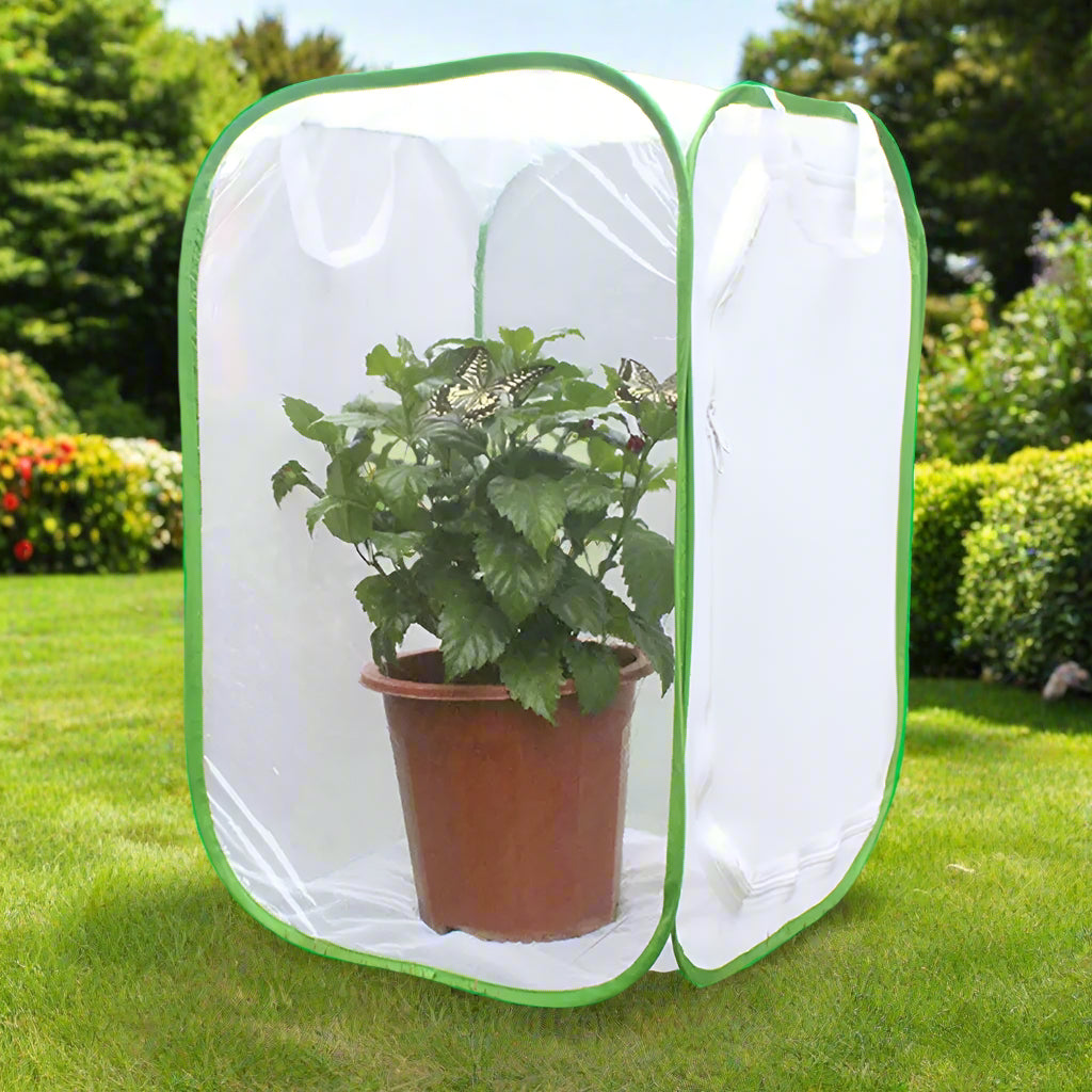 Butterfly Net shielding your beloved plants from curious pets. - Sniff Waggle And Walk